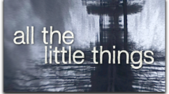 poster_littleThingsFeature